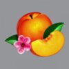 phoenix lp 367 1