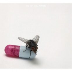 Red Hot Chili Peppers - I'm With You (CD, Ed. EU, 2022)