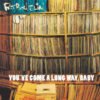 Fatboy Slim Youve come a long way baby