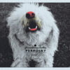 Perrosky - Vivos (Vinilo, Ed. Chilena, 2013)
