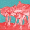 Lilits - Visceral