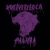 Vuelveteloca - Pantera (Vinilo)