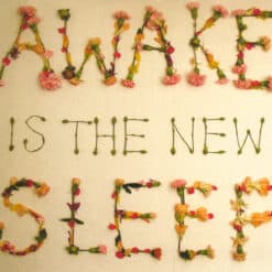 Ben Lee - Awake Is The New Sleep