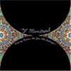 OF MONTREAL HISSING FAUNA