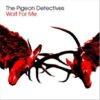 THE PIGEON DETECTIVES