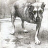 Alice in CHains Alice IN Chains