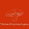 Cafe Tacuba - Vale Callampa (CD, Ed. Chilena, 2002)