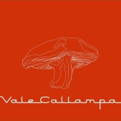 Cafe Tacuba - Vale Callampa (CD, Ed. Chilena, 2002)