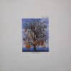 Talk Talk ‎– Spirit Of Eden (Vinilo + DVD Hi-Res + Bonus Track)