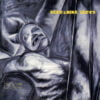 Screaming Trees Dust