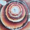 Stevie Wonder e1551639792204