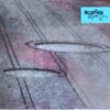 Protistas - Microonda (CD, Ed. Chilena, Digipak, 2017)