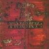 Tricky Maxinquaye