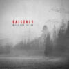 Baikonur Nihil Per Saltum