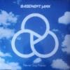Basement Jaxx ‎– Never Say Never