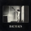 Bauhaus In The Flat Field