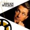 Brian Wilson ‎– Playback The Brian Wilson Anthology