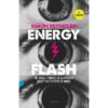 Simon Reynolds Energy Flash