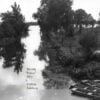 R 10171309 1492866375 8657.jpeg