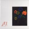 Devendra Banhart - Ma (Vinilo, Ed. EU, 2019)