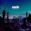 suede blue hour
