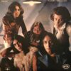 Flamin Groovies flamingo