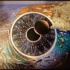 Pink Floyd Pulse CD