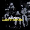 Alice in Chains Essential