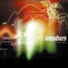 incubus