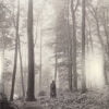 Taylor Swift Folklore