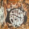 circo beat