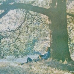Yoko Ono / Plastic Ono Band - Plastic Ono Band (Vinilo, Ed. US, 2016)
