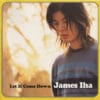 James Iha Let It Come Down