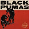 black pumas deluxe