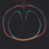 XTC - Wasp Star (Apple Venus Volume 2) (CD, Ed. US, 2000)