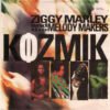 Ziggy Marley The Melody Makers Kozmik 7