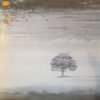 Genesis - Wind & Wuthering (Vinilo, Ed. Germany, 1976)