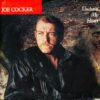 Joe Cocker Unchain My Heart 7