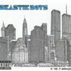 Beastie Boys To The 5 Boroughs CD Album