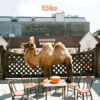 Wilco Wilco The Album CD Album