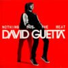 David Guetta Nothing But The Beat 2xCD Album