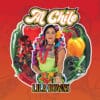 Lila Downs Al Chile 2xLP Album