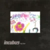 Incubus CD DVD