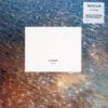 Pet Shop Boys LP Album