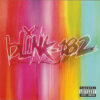 Blink 182 Nice CD Album