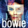David Bowie Best Of Bowie 2xCD Album