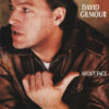 David Gilmour About Face CD Album