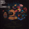 Gnarls Barkley St. Elsewhere CD DVD