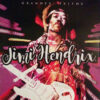 Jimi Hendrix Grandes Exitos LP Album
