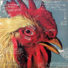 Pavement Watery Domestic EP